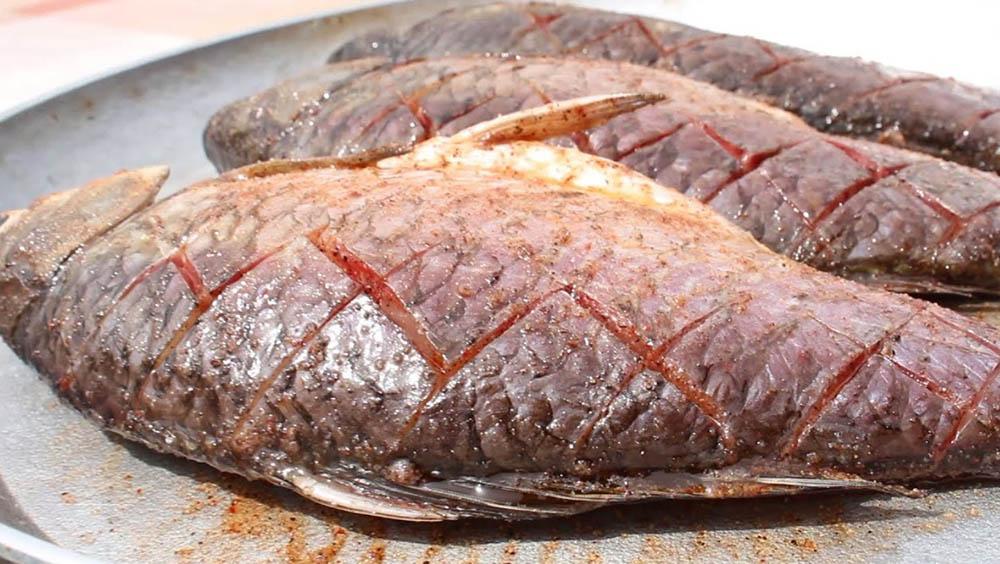 Карась и насечки