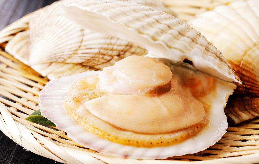 Свежие морские гребешки в раковине Гребешки в раковине для гриля