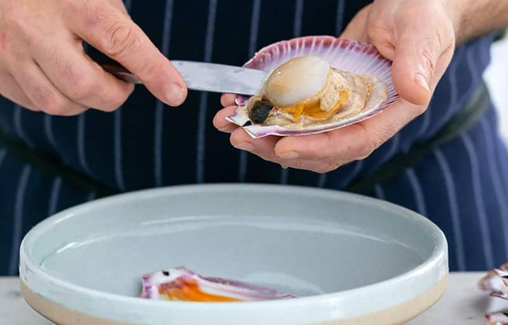 Извлечение мяса гребешка из раковины Гребешок из раковины